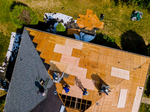 Best Roof Repair Services  in Nellis Af, NV